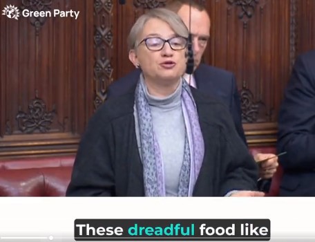 Graphic that reads: 'Other Work'. With photo of Palace of Westminster in background.