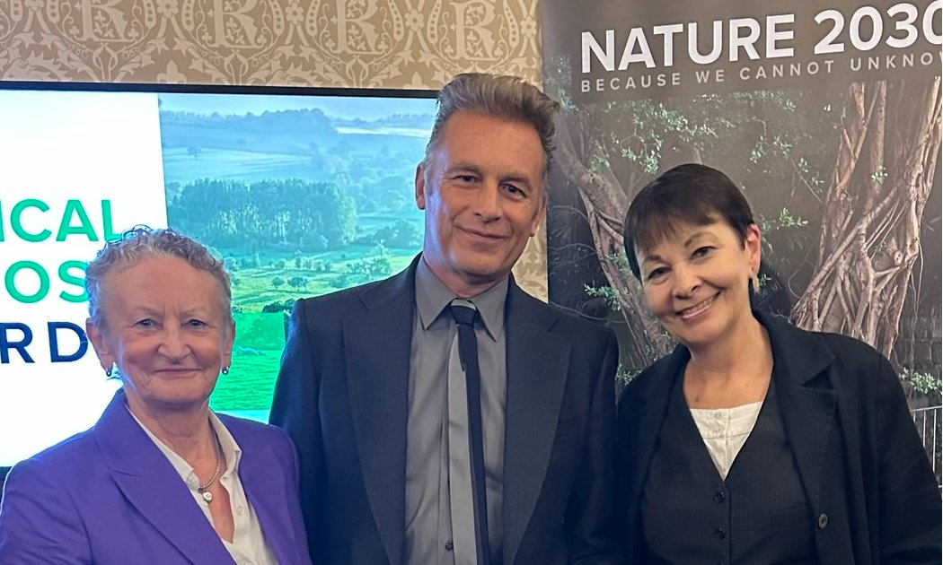 Graphic that reads: 'Other Work'. With photo of Palace of Westminster in background.