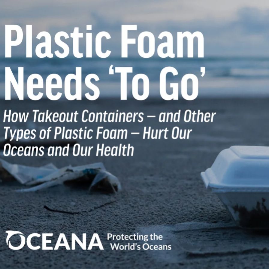 Oceana poster stating that Plastic Foam Needs 'To-Go' with an image of a Styrofoam container on the beach