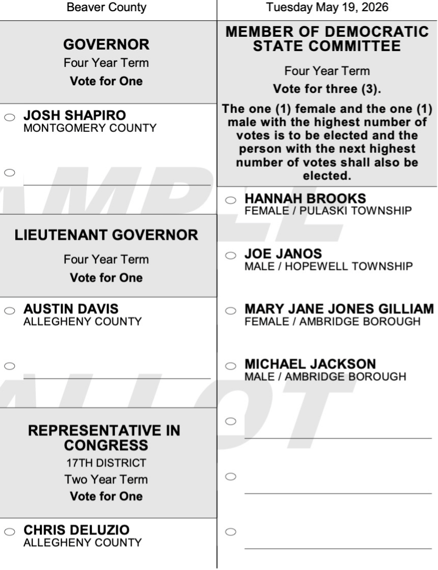 Beaver County sample ballot showing races for Governor, Lieutenant Governor, Rep in Congress and State Committeee