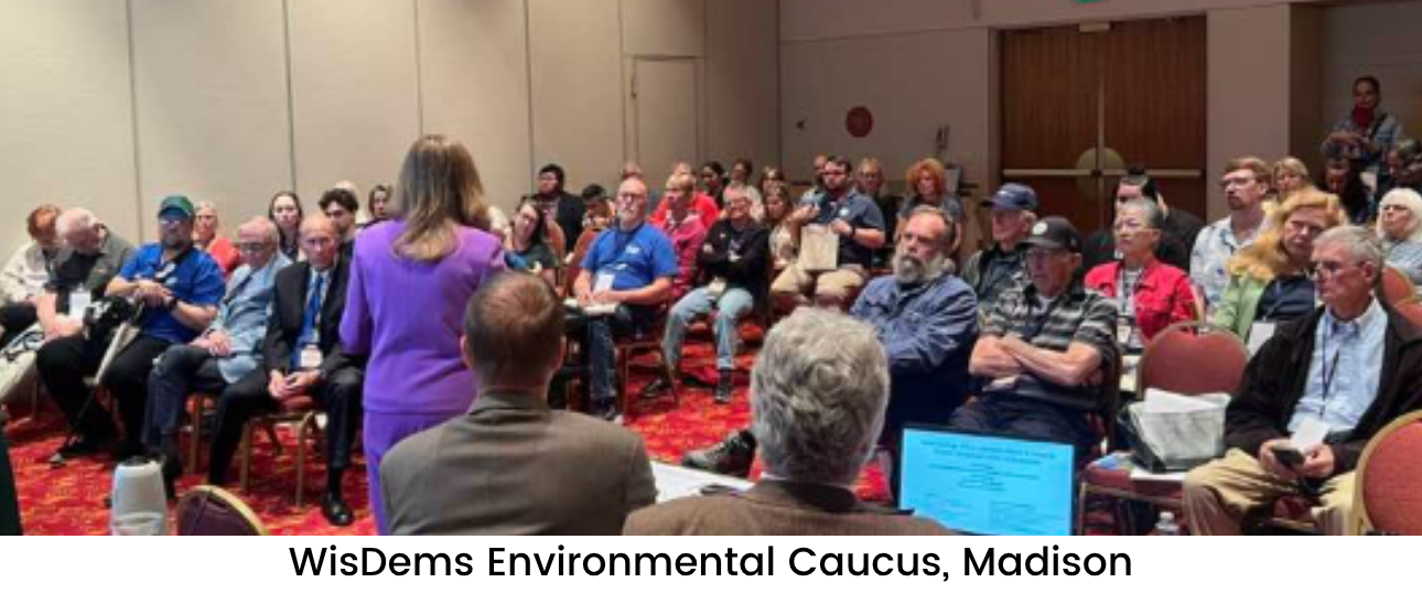 Photo of crowd of people at the 2026 Wisconsin Democratic State Convention. DNC Climate Council Chair Deatrick's is facing towards crowd of people and speaking to them..