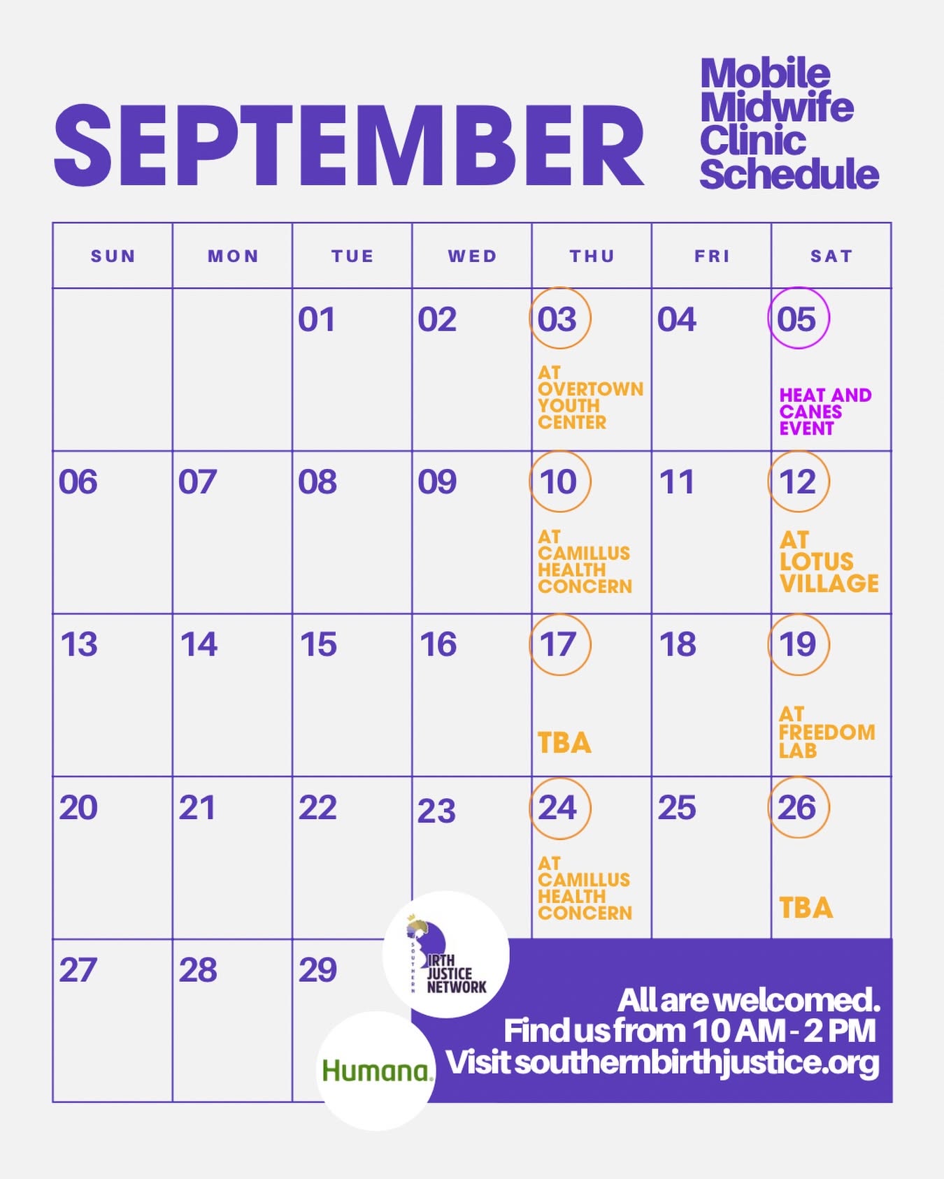 Mobile Midwife Clinic Flyer