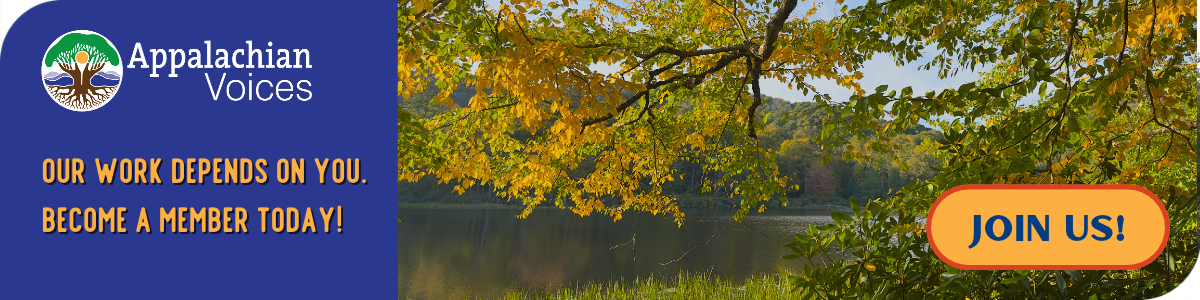 Photo of fall leaves with text Our work depends on you—become a member today!